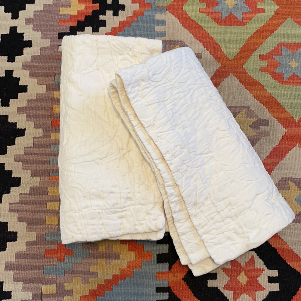 Pottery Barn Valerie Matelasse Euro Shams (2)
